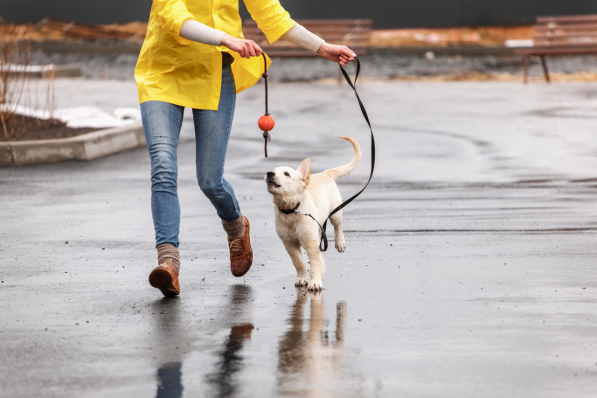 1700191452849575.png 1700191452849575.png